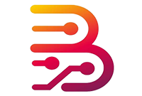 Borneo Schematics  1 USER  12 Month  Activation Code  New / Renew