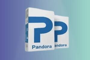 Pandora Box - 1 Year Digital license (New User)